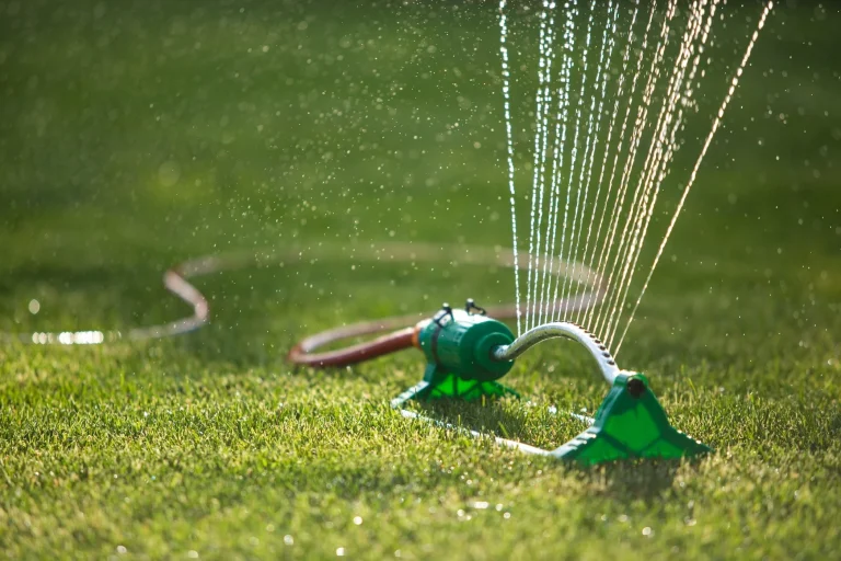 5 Best Sprinklers for Large Lawns in 2025