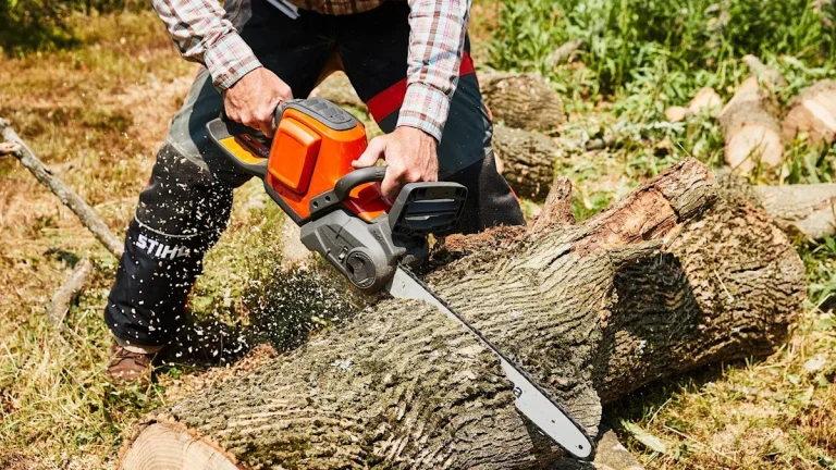 5 Best Chainsaws for Cutting Firewood in 2025