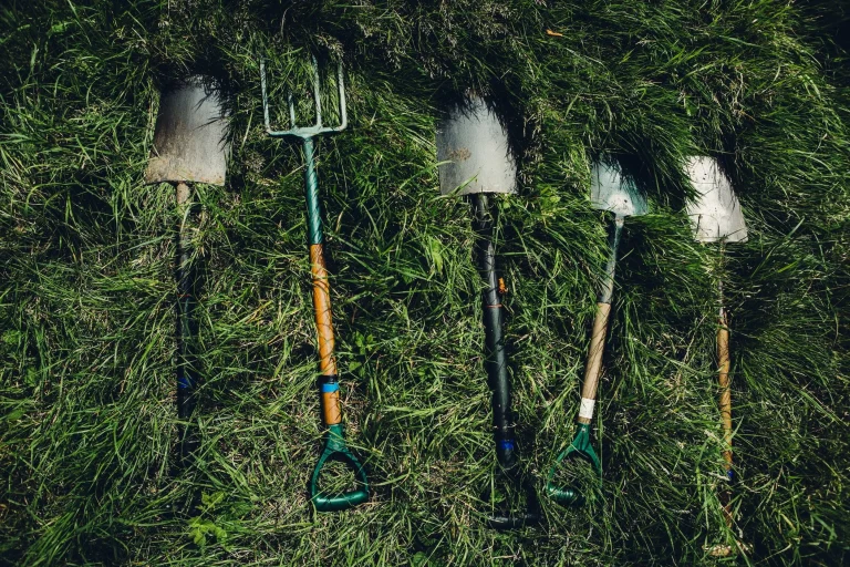 5 Best Garden Tool Sets for Beginners in 2025