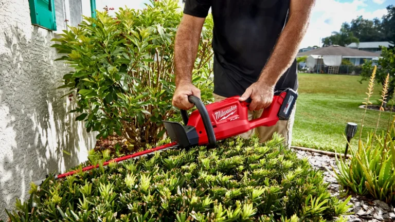 5 Best Hedge Trimmers for Bushes in 2025
