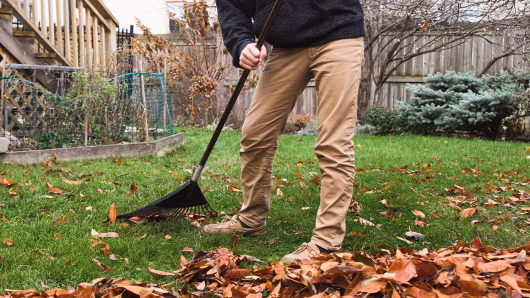 5 Best Rakes for Fall Leaves in 2025