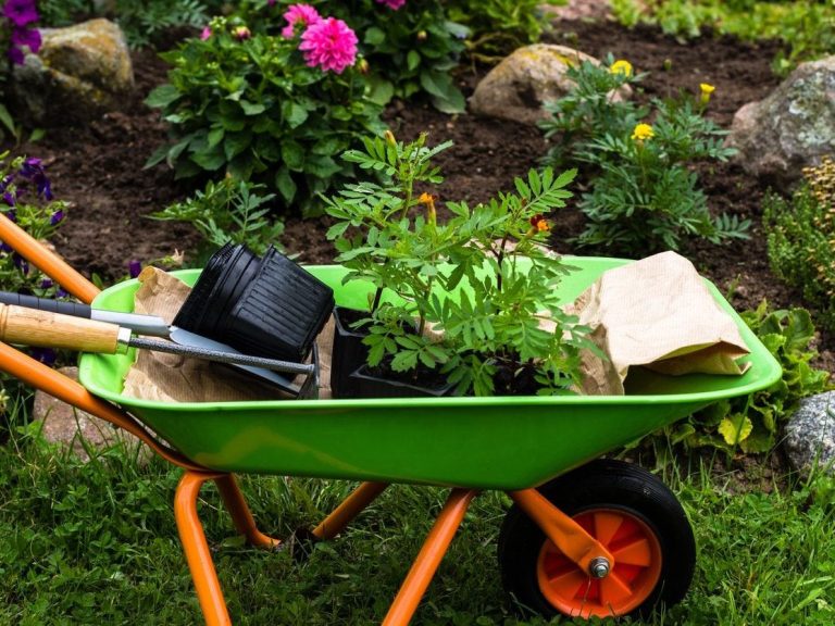 5 Best Wheelbarrows for Gardening in 2025